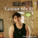 Guzaarishein