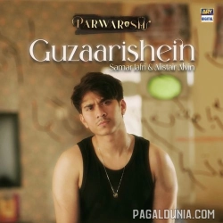 Guzaarishein